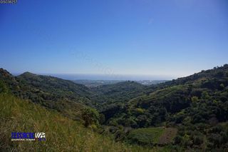 stello Calatabiano-12-03-2014 20-07-39